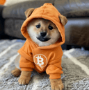 Dog (Bitcoin) logo